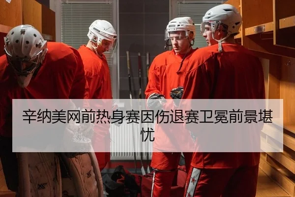 辛纳美网前热身赛因伤退赛卫冕前景堪忧